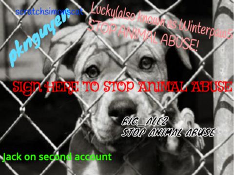 SIGN HERE TO STOP ANIMAL ABUSE remix