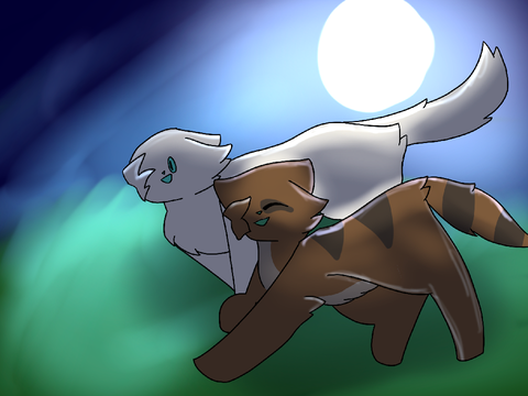 2.5k DTIYS entry!