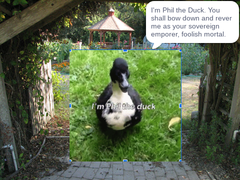 PHIL IS KING.