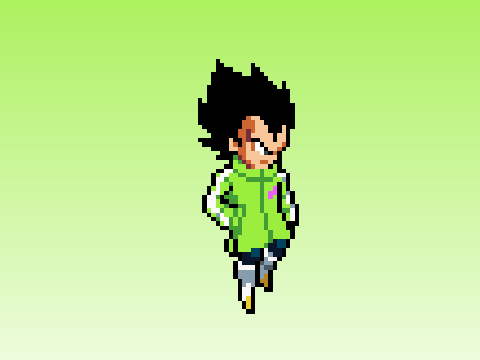 Swl Vegeta Sab Jacket