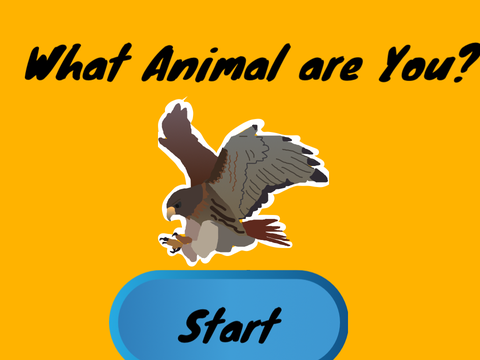 What Animal are You?