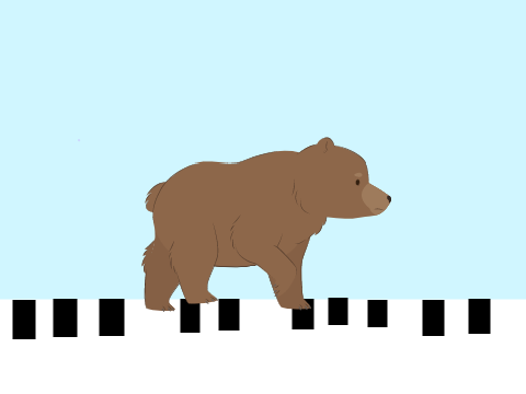 the piano playing bear