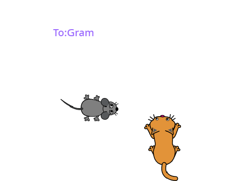 Cat mouse chase