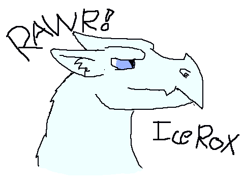 RANDOM PICTURE TIME!