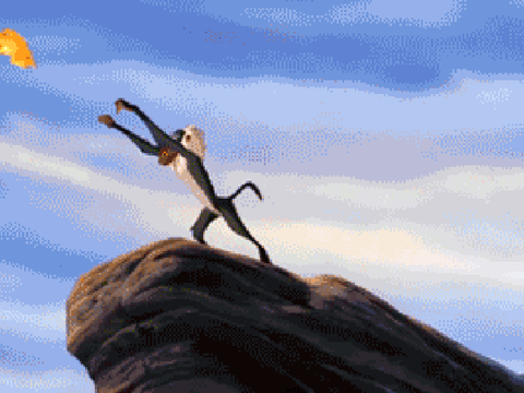Lion King Throw