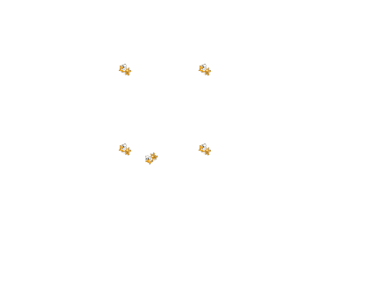 www