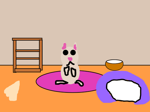Cat care