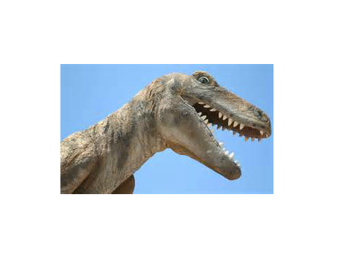 Dinosaur-Senpai