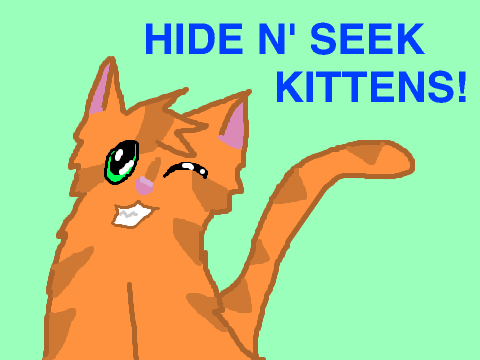 Hide n' Seek Kittens!