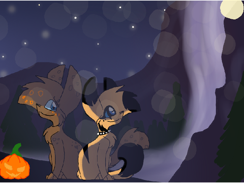 Fadedshadow X Viperdawn 