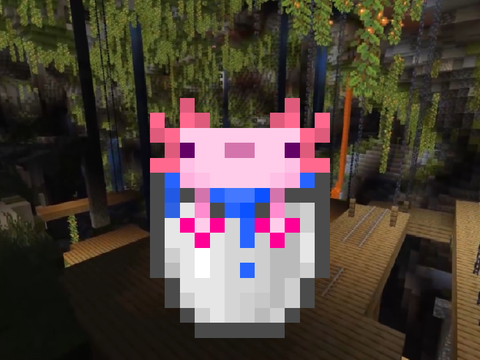 Bucket of Axolotl Pixel Art (with music)