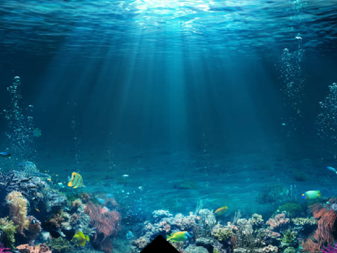Fish tank