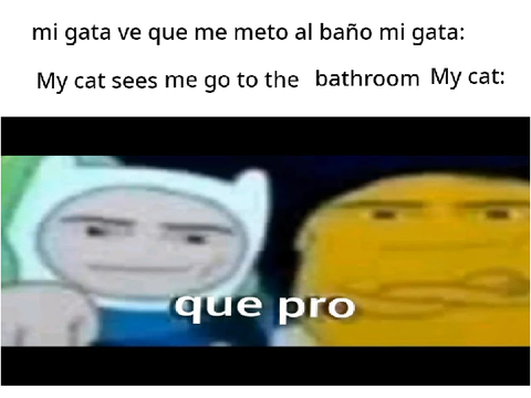que pro what a pro