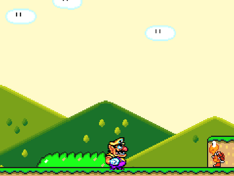 Super WARIO world but bowser is mario