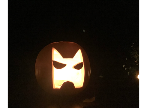 My Shadowclan Pumpkin!!