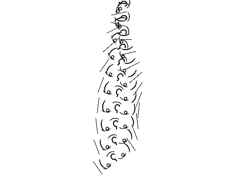 lennydna