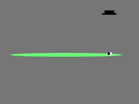 will worm