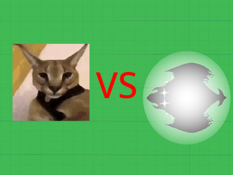 hecker vs anomaly 6674