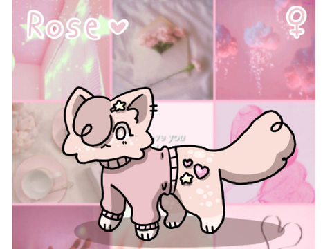 +rose || kitty owo
