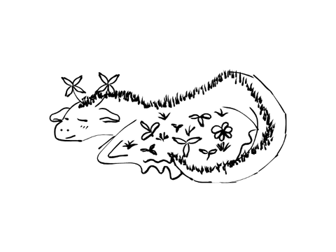 A Floral Dragon (Drawing Prompt)