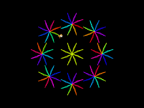 From stars to flowers