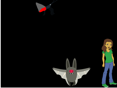Bat Attack For learning