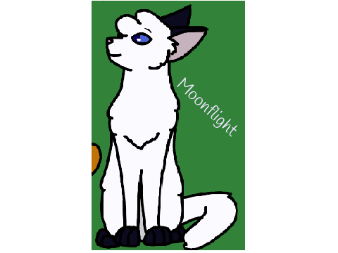 My Warriors OC for @TheSuperMeow
