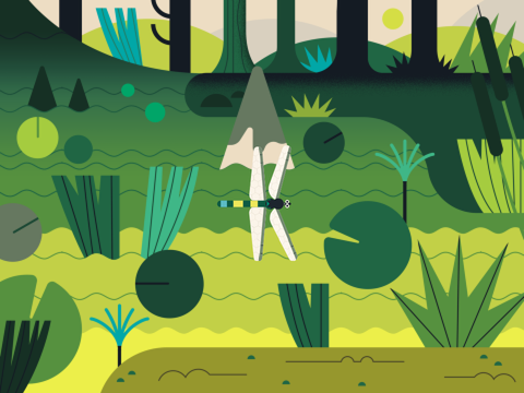 Dragonfly Events Bootcamp