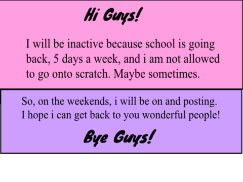 Why I will be inactive.