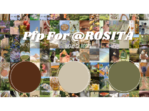 PFP for @R0SITA