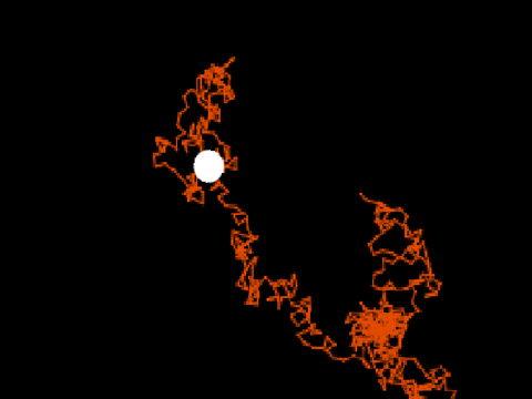 random walk simulation 