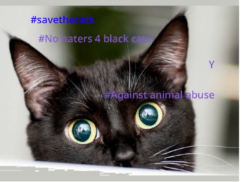 Remix this if you care about cats!