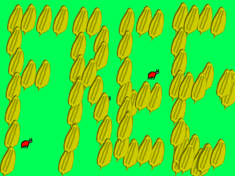 Find a Bug! Free- remix