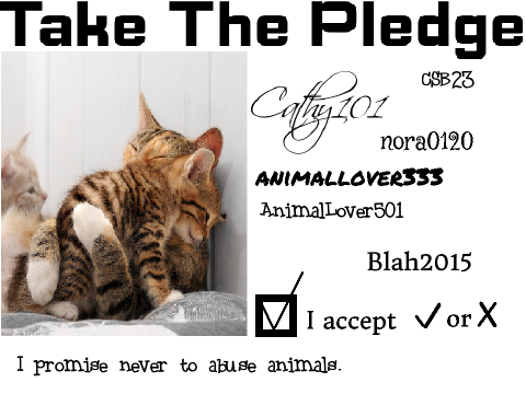 Pledge to Stop Animal Cruelty (REMIX IT) remix remix remix remix remix
