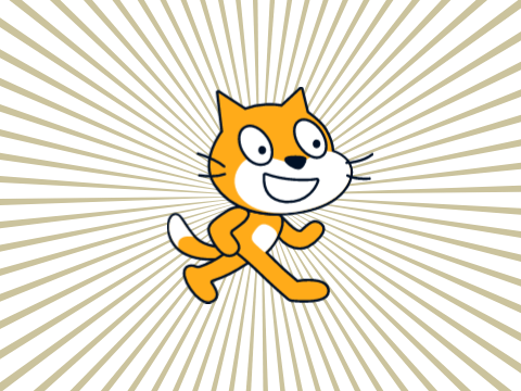 What does a cat do in it's spear time?