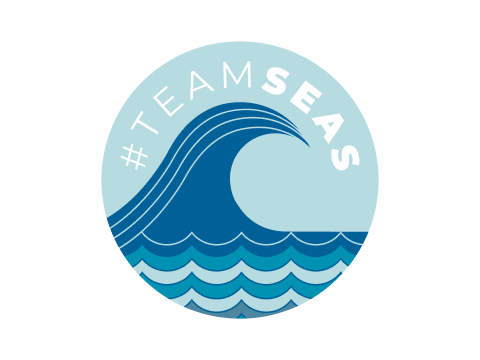 #TeamSeas