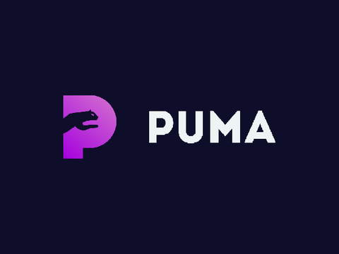 PUMA | BB3SU