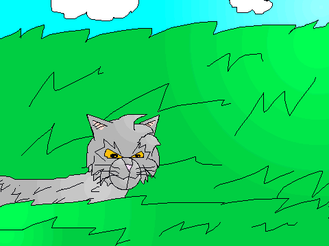 Graystripe alone!!!