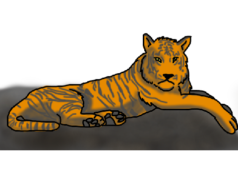 Tiger 