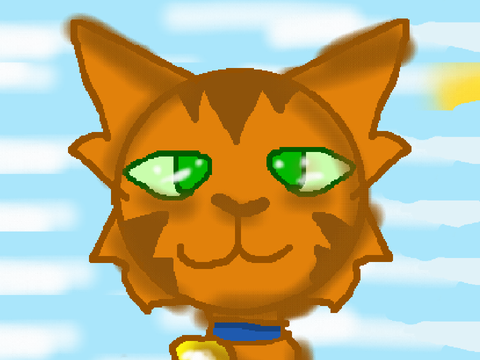 Warriors (Warrior Cats) // PART 3