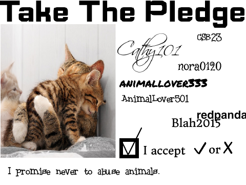 Pledge to Stop Animal Cruelty (REMIX IT) remix remix remix remix remix remix