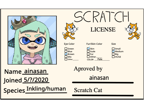 ainasan's Scratch License