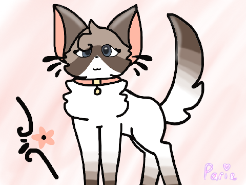 Payment for @tranquilitea