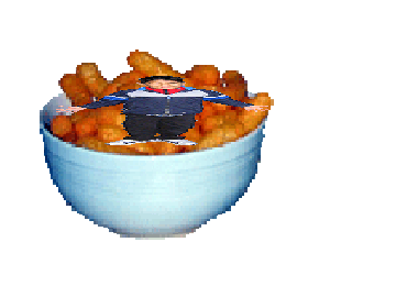 sam in a bowl