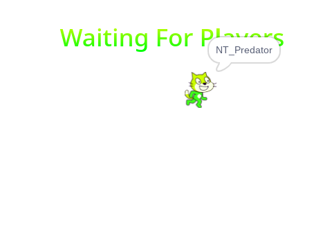 Multiplayer Game