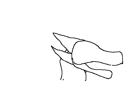 animation animation practice practice