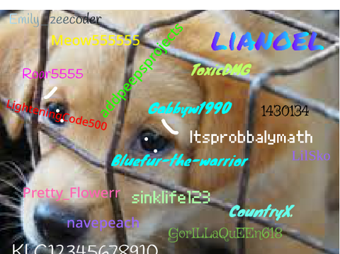 STOP ANIMAL ABUSE (add your name) remix remix