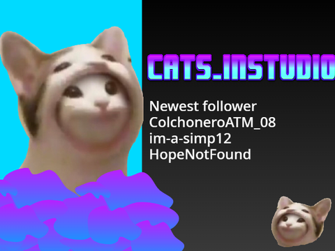 Intro