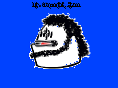 Mr. Gnomick Head