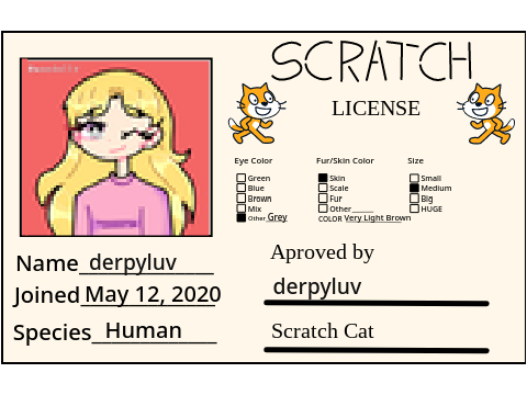 Make Your Own Scratch License remix